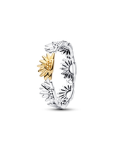 Anello Fascia Sole