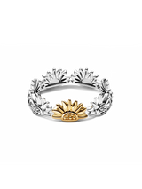 Anello Fascia Sole