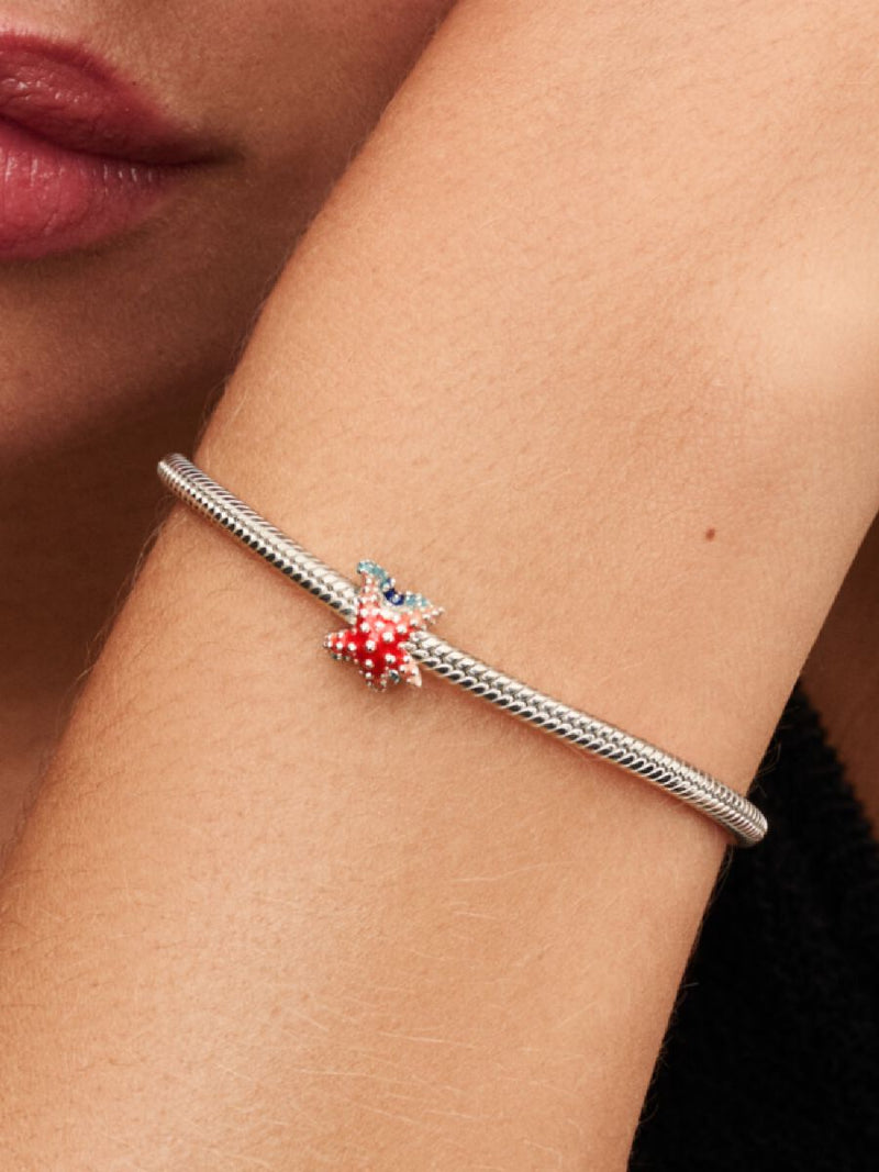 Charm Stella Marina Colorata