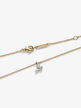 Collana con pendente Farfalla Placcatura in Oro 14k