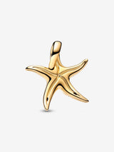 Charm Stella Marina Grande