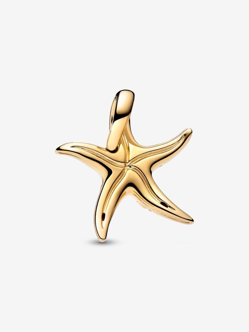 Charm Stella Marina Grande