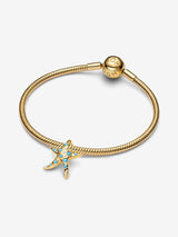 Charm Stella Marina Grande