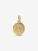 Charm Medallion Leone "Vita Veritas Virtus"