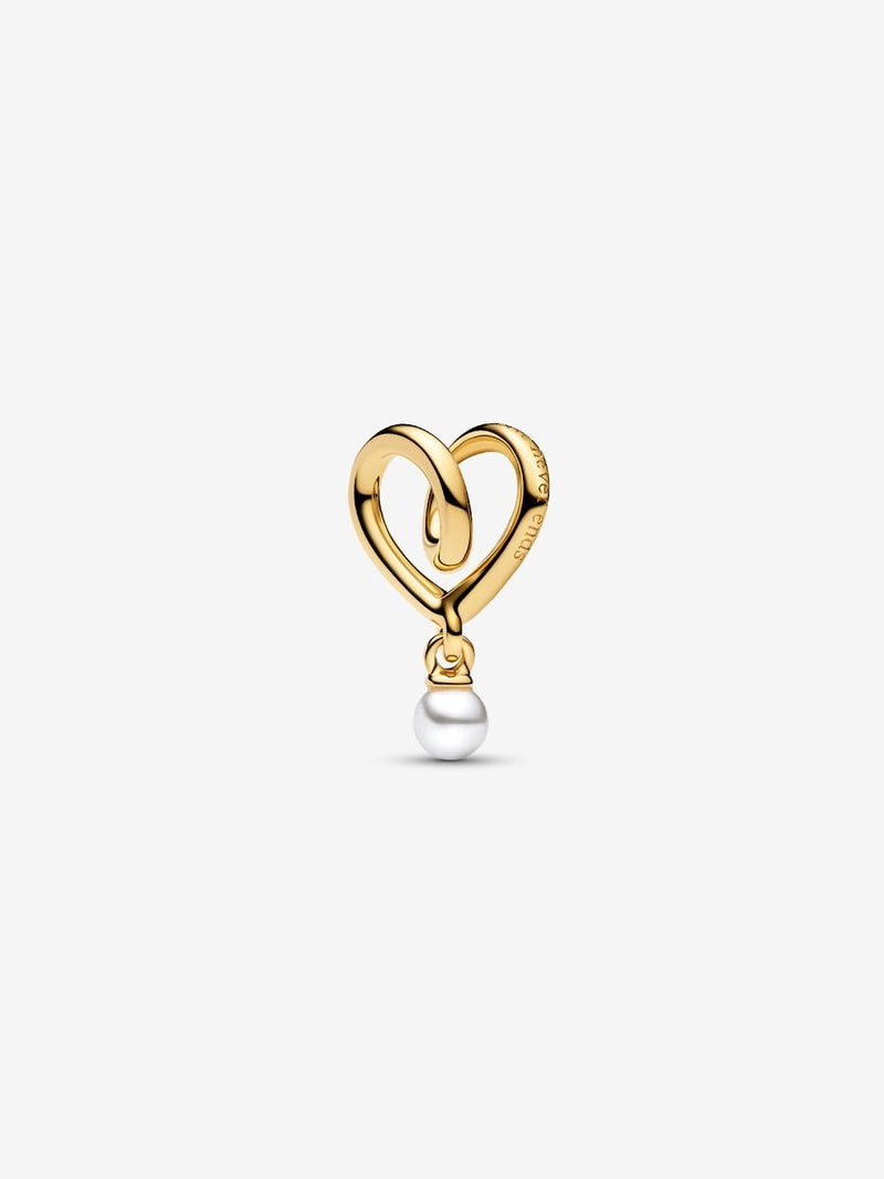 Charm Famiglia, Dove l'Amore è Infinito Placcatura in Oro 14k