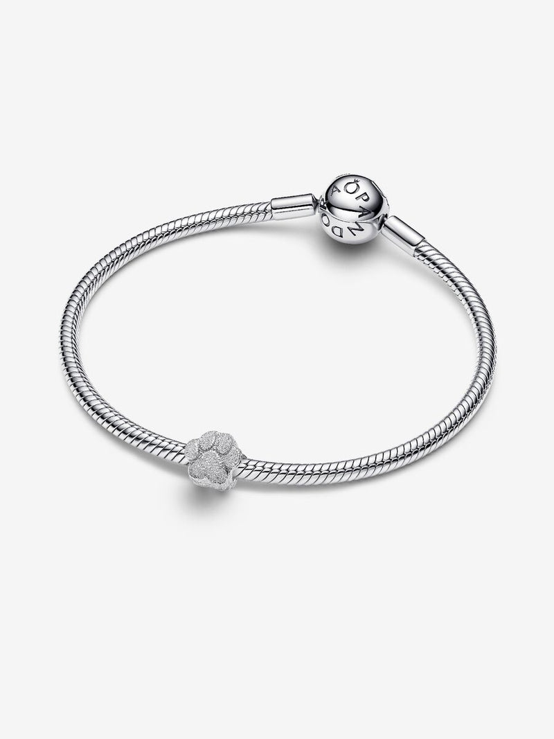 Mini Charm Zampa effetto diamantato