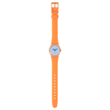 Orologio View From a Mesa