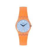 Orologio View From a Mesa