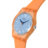 Orologio View From a Mesa