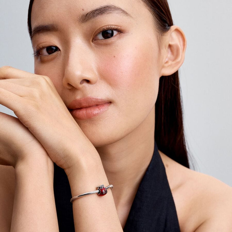 Charm Sacchetto Portafortuna "della Tradizione Cinese"