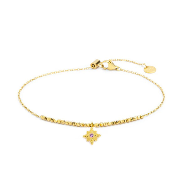 Cavigliera rosa dei venti - Gioielleria Fondente