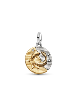 Charm Medallion Pesci