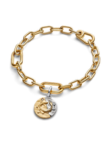 Charm Medallion Pesci