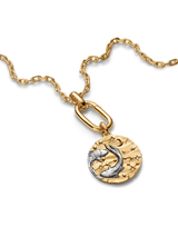 Charm Medallion XL Pesci "Memento Somniare"