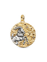 Charm Medallion XL Capricorno "Nihil Difficile Volenti"