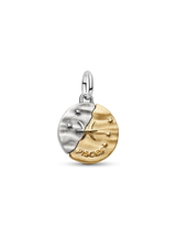 Charm Medallion Pesci