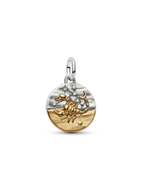 Charm Medallion Scorpione