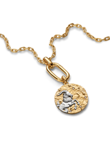 Charm Medallion XL Capricorno "Nihil Difficile Volenti"