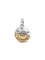 Charm Medallion Cancro