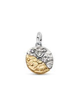 Charm Medallion Toro