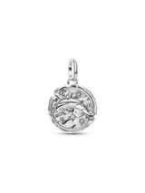 Charm Medallion Delfino "Audaces Fortuna Iuvat"
