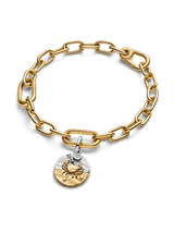 Charm Medallion Cancro