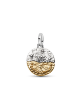 Charm Medallion Capricorno