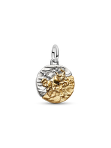 Charm Medallion Toro