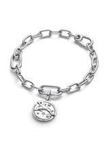 Charm Medallion Delfino "Audaces Fortuna Iuvat"
