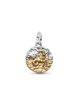Charm Medallion Capricorno