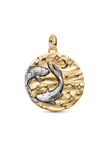 Charm Medallion XL Pesci "Memento Somniare"