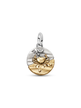 Charm Medallion Cancro