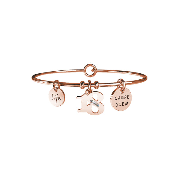 731663 Bracciale Special Moments "18"