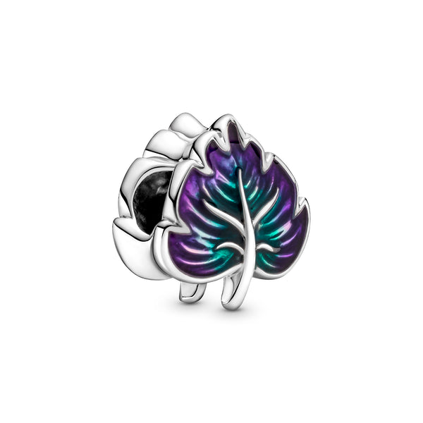 799542c01 Foglia Verde e Viola