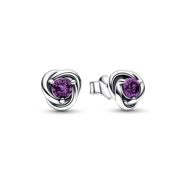 292334C02-0 Orecchini Cerchi Eterni Viola