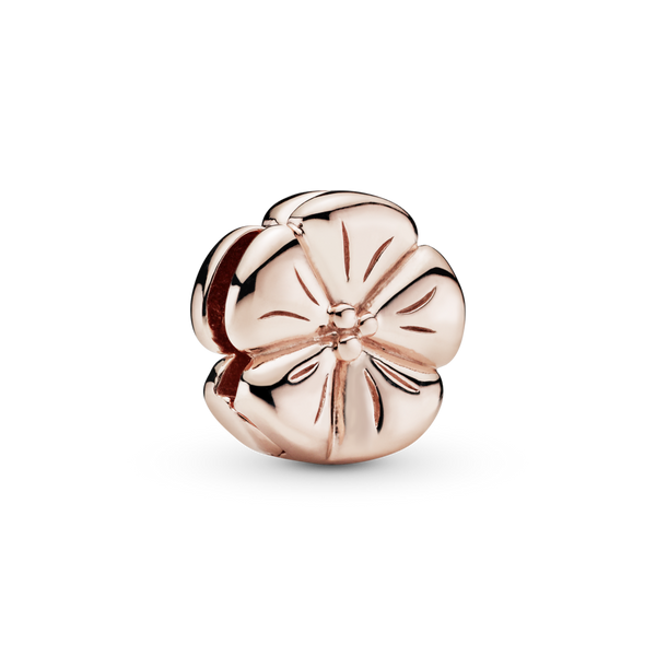 787897 Charm Pandora Reflexions Fiore luminoso