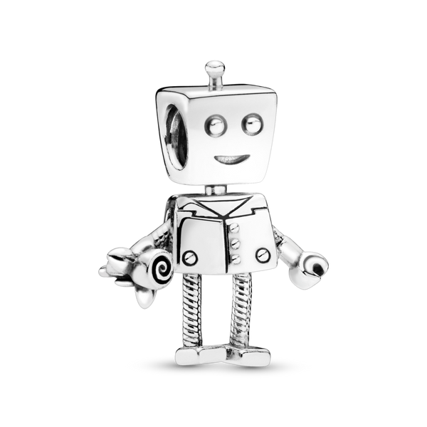 797819 Charm Rob Bot