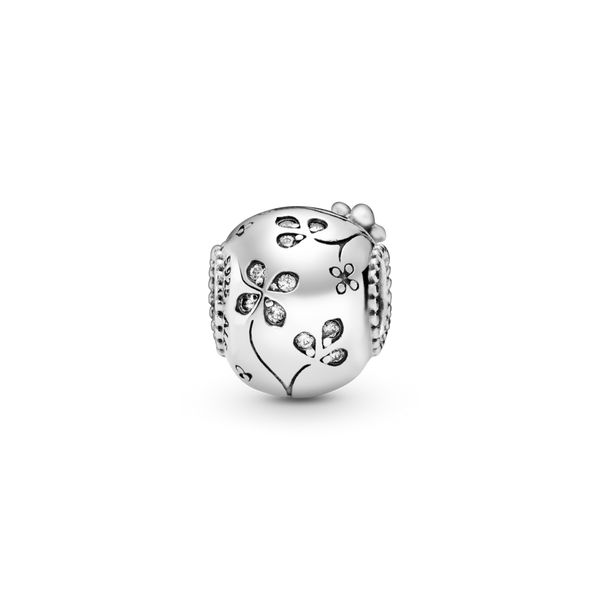 797866cz 