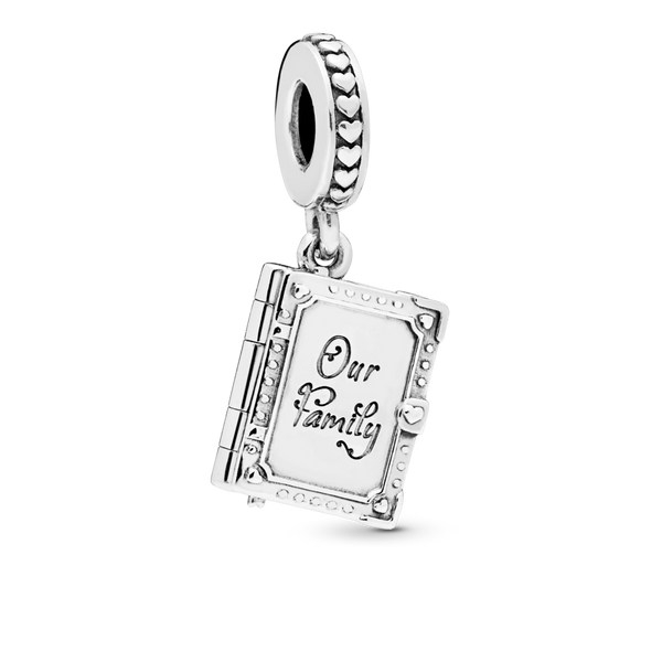 798105 Charm pendente Album di famiglia