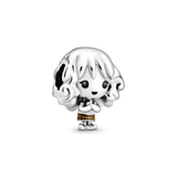 798625c01 Harry Potter  charm Hermione Granger