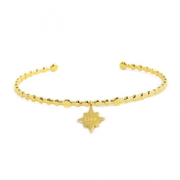 Bracciale Rigido Rosa Dei Venti Pendente Con Zircone Viola - Gioielleria Fondente