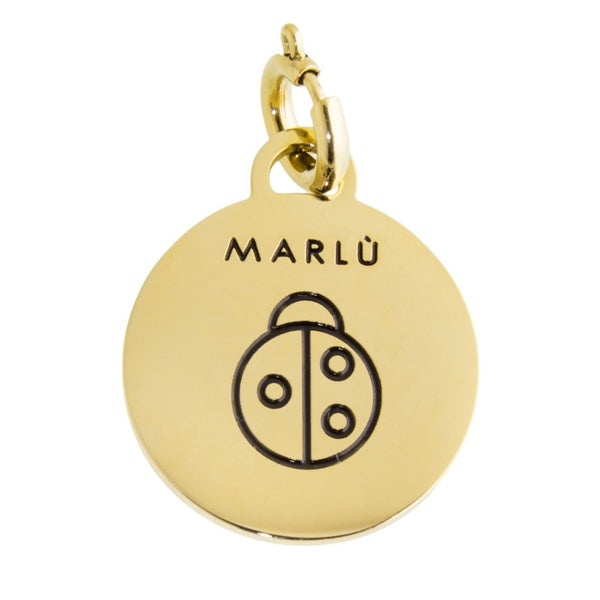 18ch018g Charm con coccinella