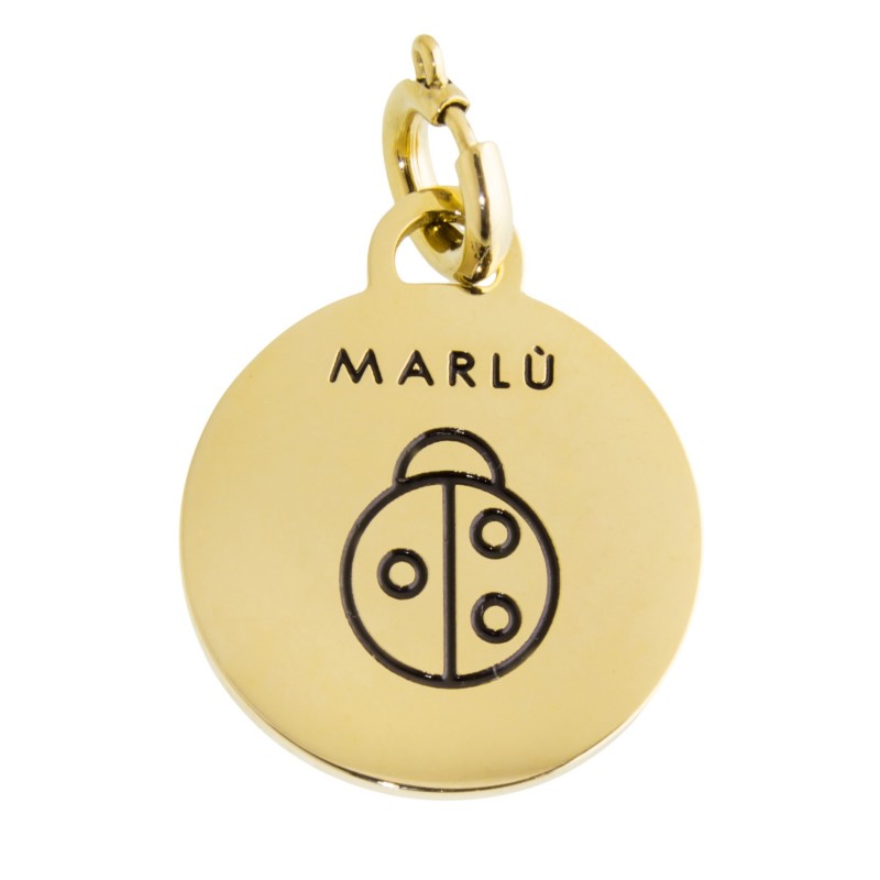 18ch018g Charm con coccinella