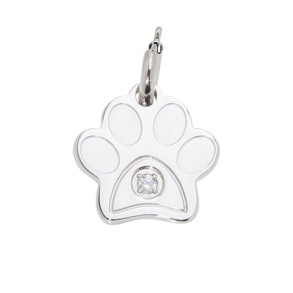 18ch036 Charm zampina con zircone