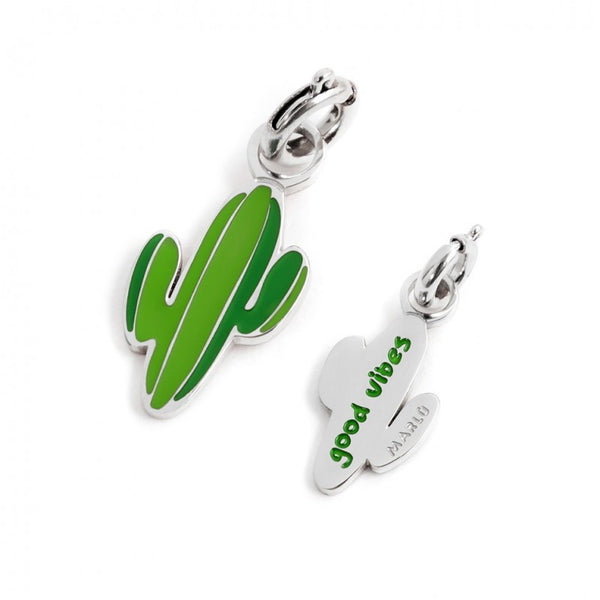 18ch061 Charm cactus