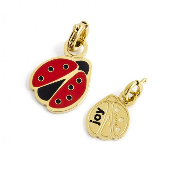 18ch069g Charm coccinella