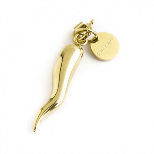 15ch079g Charm "Corno Grande"