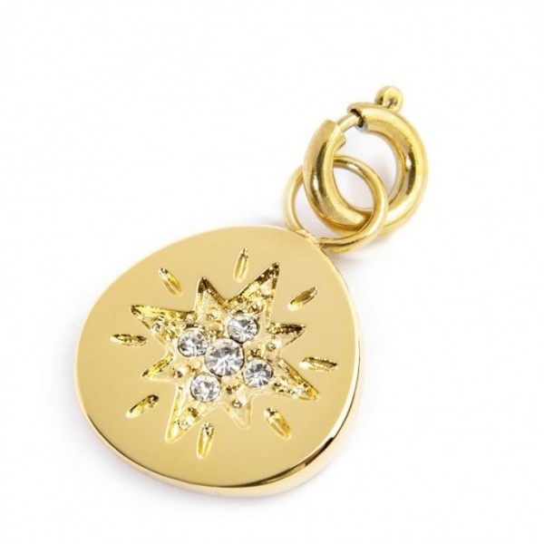 18CH130G CHARM MEDAGLIETTA CON ROSA DEI VENTI E STRASS