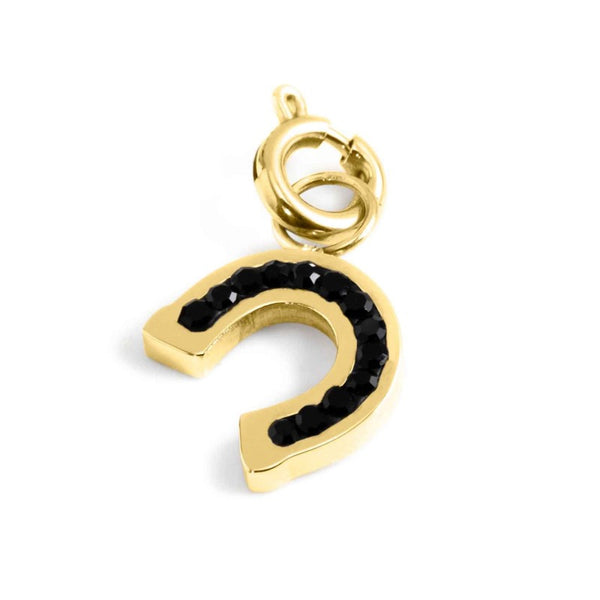 18ch108g-n Charm ferro di cavallo strass neri