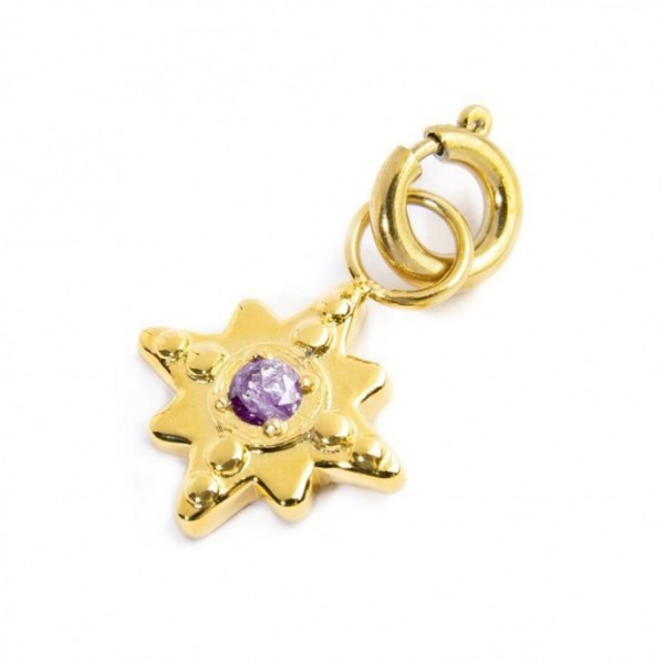 18CH129G CHARM ROSA DEI VENTI CON ZIRCONE VIOLA